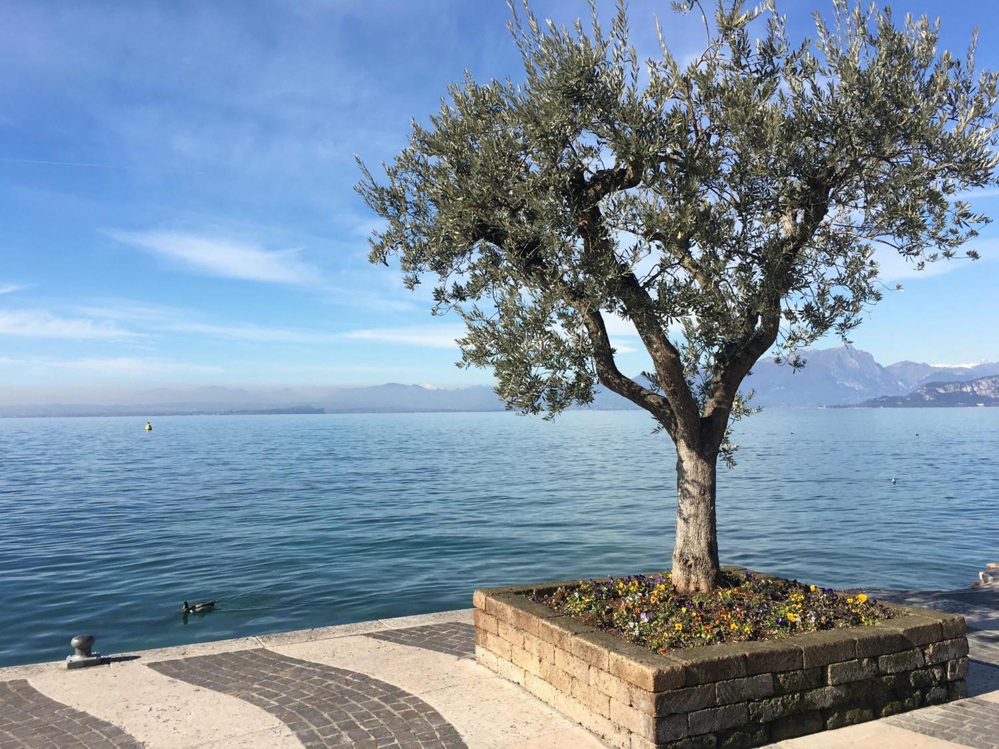 My Peschiera Family Home Xl Peschiera del Garda Esterno foto